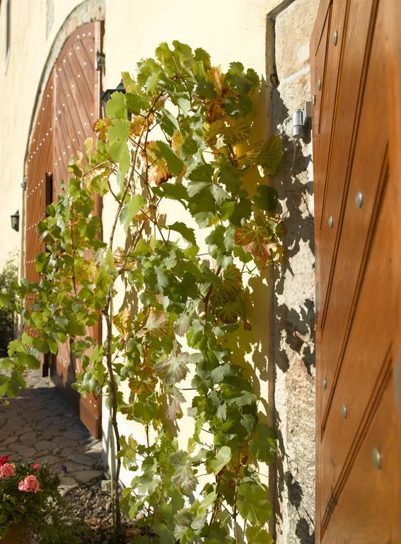 Gastehaus Im Weingut Schloss Proschwitz Hotell Meißen Exteriör bild